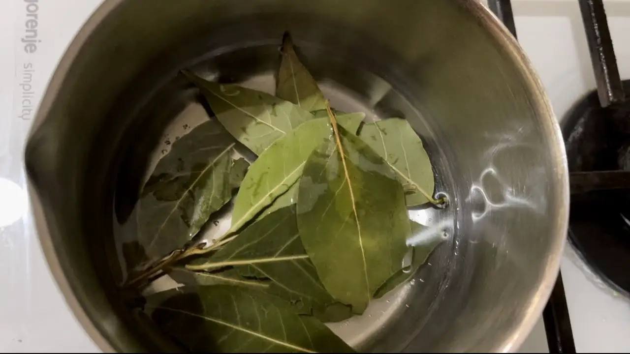 Put this for 1 hour in your house, you will never see flies, mosquitoes