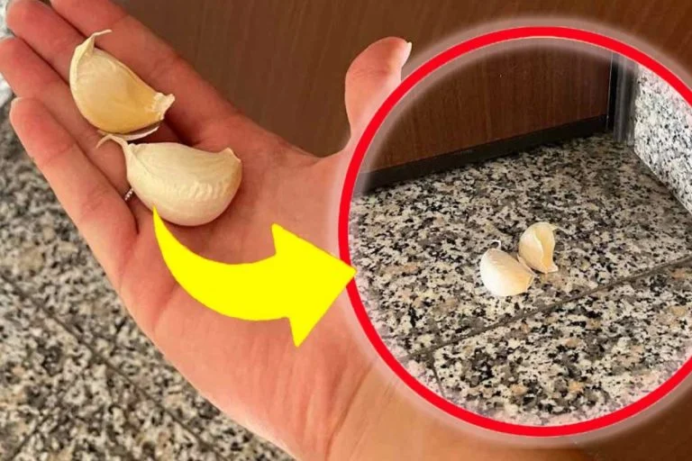 Garlic Cloves A Natural Solution to Keep Insects Away Home Garden Tips