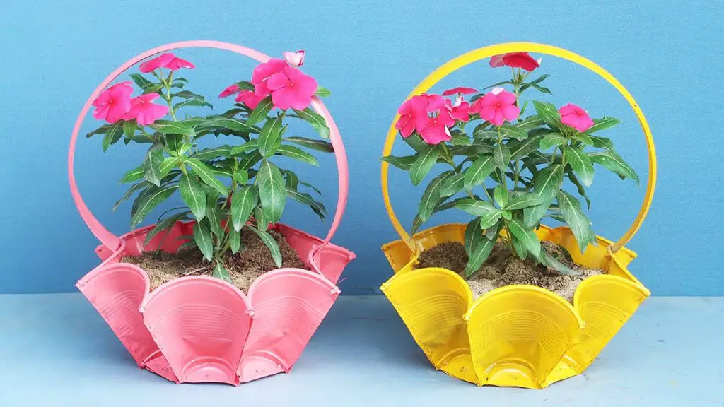 Upcycle Your Plastic Cups: Creative Plant Pot Ideas - Home Garden Tips