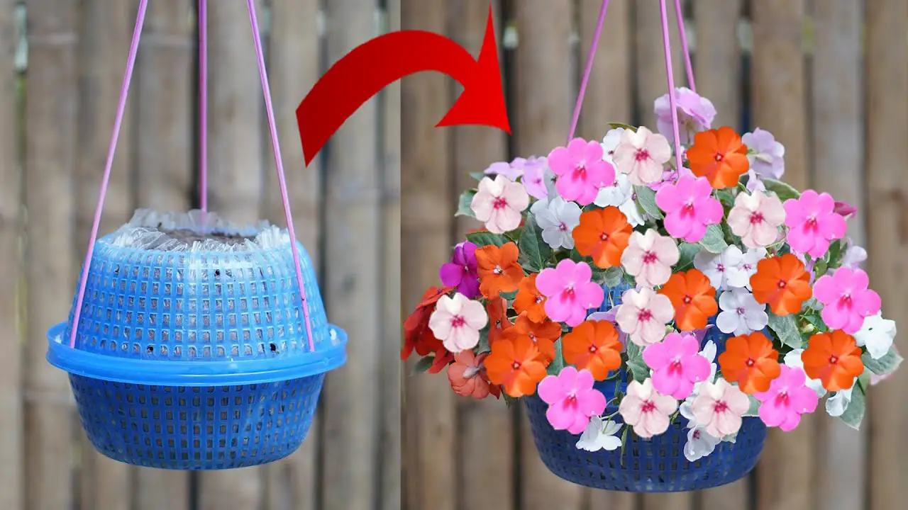 Elevate Your Garden: Creative Hanging Garden Ideas for Beautiful ...