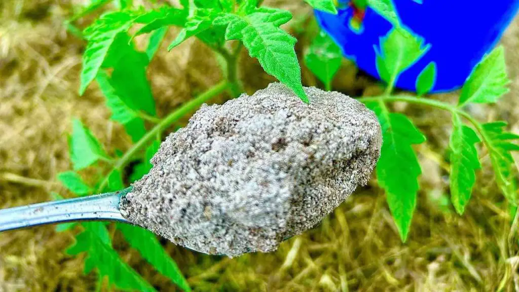 Shock Your Plants and Watch Them SOAR with This Hidden Fertilizer Power