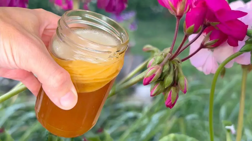 September s Secret Garden Tip Revive Dead Flowers For Luxuriant Blooms september-s-secret-garden-tip-revive-dead-flowers-for-luxuriant-blooms