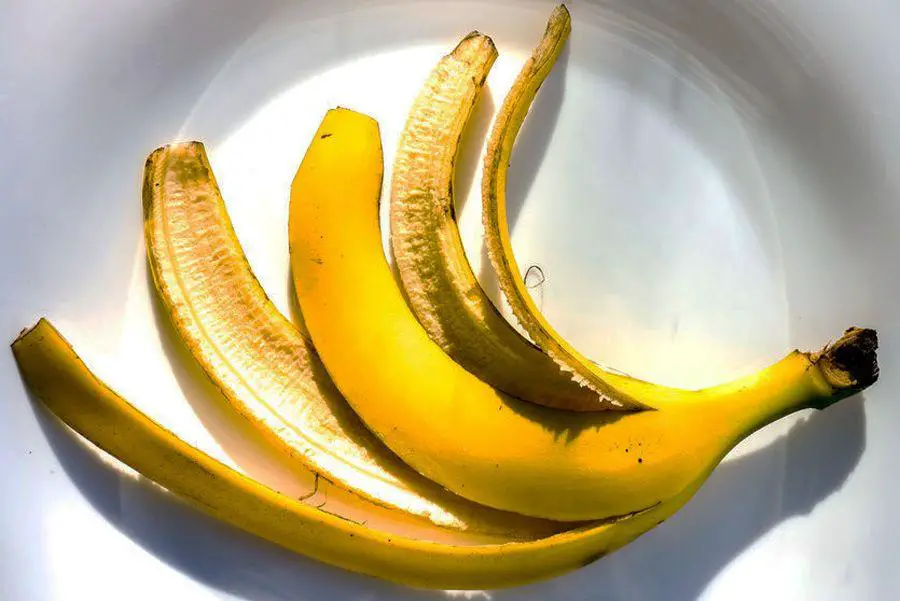 Don't Throw Away Banana Peels 34 Ways to Use Them Home Garden Tips