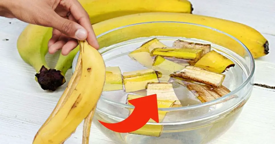 Banana peels, throwing them away is a big waste: for housewives they ...