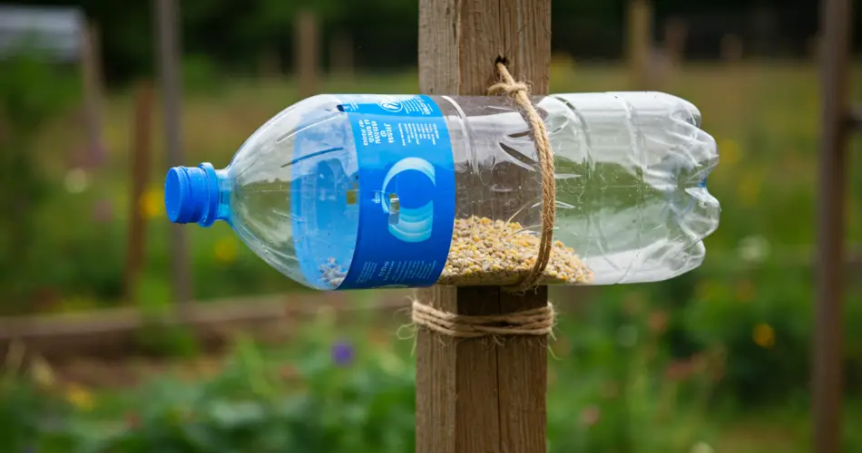 Here's how to build a chicken feeder in just a few minutes - Home ...
